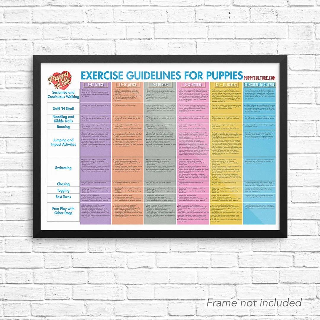 Puppy Culture Age Appropriate Exercise Poster